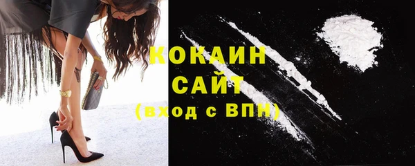 сатива Дмитров