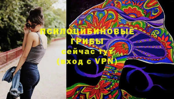 сатива Дмитров